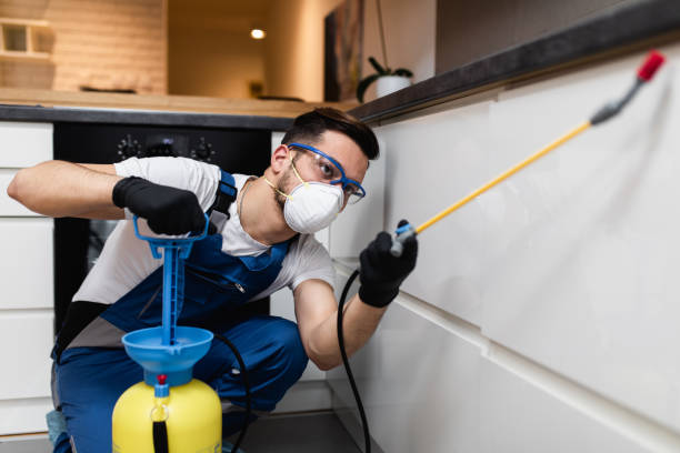 Best Pest Control Near Me  in West Sayville, NY