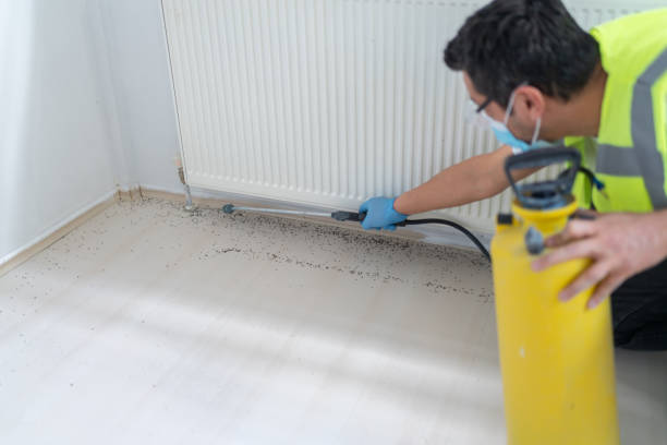 Trusted West Sayville, NY Pest Control Experts